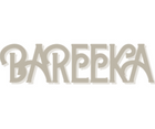 Bareeka store